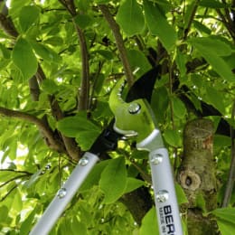 Lifestyle: Berger Astschere C4280 für Äste bis 50 mm, auswechselbare Klinge, Korkgriffe