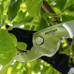 Lifestyle: Berger Astschere C4280 für Äste bis 50 mm, auswechselbare Klinge, Korkgriffe