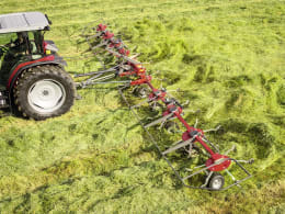 Lifestyle: Massey Ferguson Heuwender im Einsatz auf einer Wiese, gezogen von einem Traktor
