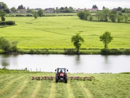 Lifestyle: Massey Ferguson Traktor mit Heuwender bei der Arbeit auf einer Wiese an einem See