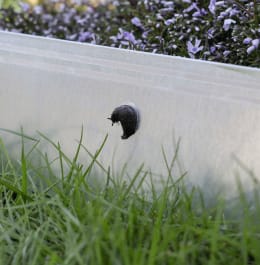 Lifestyle: KERBL Zaunband für Schneckenzaun SnailStop