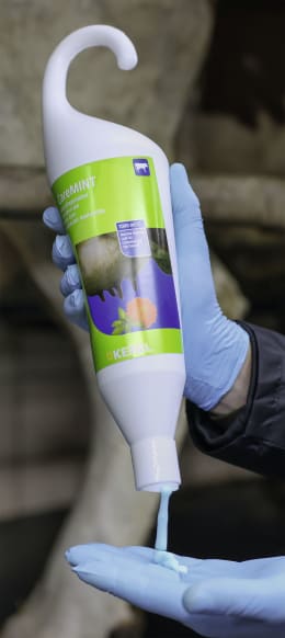 Produktbild: KERBL Euterpflegemittel CareMint, 1.000 ml