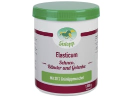 Produktbild: Galopp Elasticum für Pferde