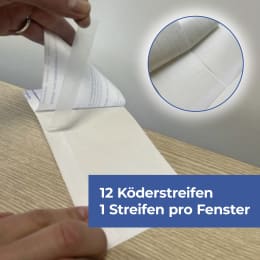 ART_AdditionalAssets