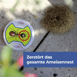 ART_AdditionalAssets