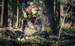 Lifestyle: Husqvarna® Benzin-Kettensäge 560 XP® Mark II