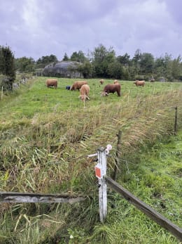 Lifestyle: LUDA.FARM Weidezaunalarm FenceAlarm2 für die Spannungsüberwachung von Weidezäunen