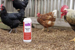 Produktbild: cit® Insektenpulver 500 ml für kriechenden Insekten wie Asseln, Käfern, Drahtwürmern