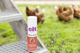Produktbild: cit® Milbenspray Mite-ExSil 500 ml für die rote Vogelmilbe, andere Vogelmilbenarten, Flöhe, Zecken