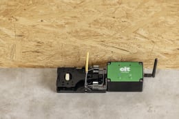 Lifestyle: cit® Rattenfalle digital ratStop Smart