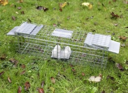 Produktbild: cit® Kastenfalle Alive Predator Super 65 x 17 x 20 cm, für Ratten, junge Marder, Iltisse