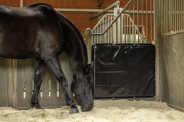 Lifestyle: KERBL Schlagschutzmatte 120 x 100 x 4 cm für Pferde
