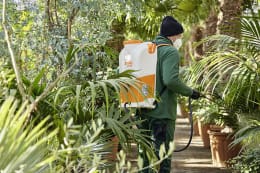 Lifestyle: Person behandelt Pflanzen im Gewächshaus mit STIHL Akku-Rückenspritze SGA 85