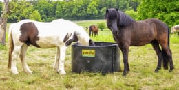 Lifestyle: Zwei Pferde fressen aus einem Patura Slow Feeder Futtertrog auf der Weide