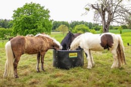 Produktbild: Patura Futtertrog Slow Feeder, schwarzer Kunststofftrog für Pferde und Ponys auf der Weide