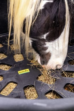 Lifestyle: Patura Futtertrog Slow Feeder Ø x H 125, 128 x 78 cm, mit Slow-Feed Einsatz, für Pferde und Ponys, 333230