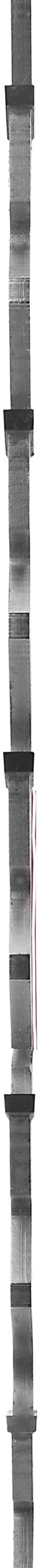 Produktbild: Widl® Kreissägeblatt LFZ 500 mm Langschnitt-Flachzahn, Hartmetall, W 42.106