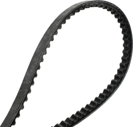 Produktbild: Maschio Keilriemen BX 17 x 1163 Li für Mulchgerät Bella BL 210