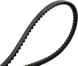 Produktbild: Maschio Keilriemen SPBX 1320 für Mulchgerät Barbi, Girafetta, Brava