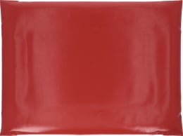 Produktbild: Monoflo Desinfektionsmatte in rot mit erhöhtem Rand