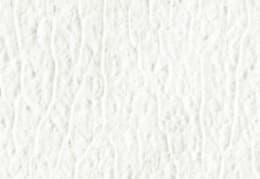 Produktbild: GEA Euterpapier Sowotaan Jumbo