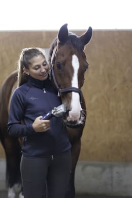 Lifestyle: Frau schert Pferd mit blauer Akku-Schermaschine