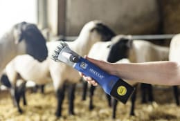 Produktbild: AESCULAP® Akku-Schermaschine Econom NOVA CL für Schafe, Rinder