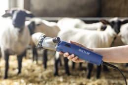 Produktbild: AESCULAP® Schafschermaschine Econom NOVA
