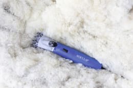 Produktbild: AESCULAP® Schafschermaschine Econom NOVA