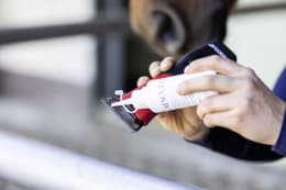 Lifestyle: AESCULAP® Akku-Schermaschine Favorita CLi, rot, schwarz, für Kleintiere, GT234-SR