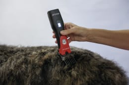 Lifestyle: AESCULAP® Akku-Schermaschine Favorita CLi, rot, schwarz, für Kleintiere, GT234-SR