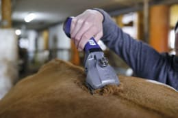 Produktbild: AESCULAP® Akku-Schermaschine Bonum Pro für Rinder