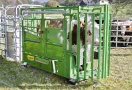 Lifestyle: Patura Klauenpflegestand A5000 für die Behandlung und Untersuchung von Weiderindern
