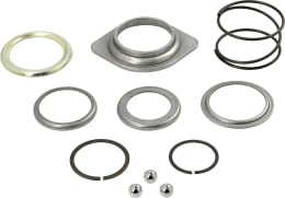 Set: Walterscheid Reparatursatz mit Ringen, Federn, Kugeln und Metallteilen für Ziehverschluss