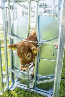 Lifestyle: Patura Klauenpflegestand A 8000 für die Behandlung und Untersuchung von Weidetieren