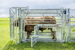 Lifestyle: Patura Klauenpflegestand A 8000 für die Behandlung und Untersuchung von Weidetieren