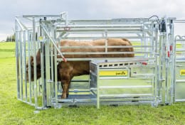Lifestyle: Patura Klauenpflegestand A 8000 für die Behandlung und Untersuchung von Weidetieren