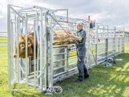 Lifestyle: Patura Klauenpflegestand A 8000 für die Behandlung und Untersuchung von Weidetieren