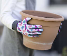 Produktbild: Kinder-Gartenhandschuhe mit buntem Schmetterling-Motiv in Pink, Blau und Weiß
