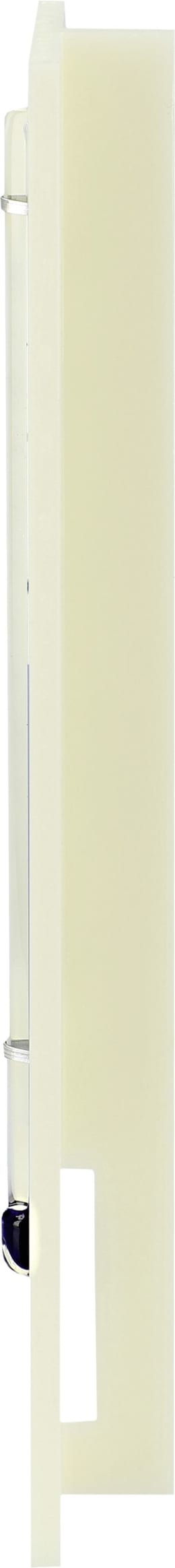 Produktbild: BRUJA Brutthermometer für Thermalplastik-Brutmaschinen