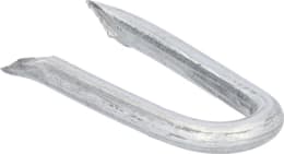 Produktbild: Krampen 3,1 x 31 mm, 5 kg, verzinkt