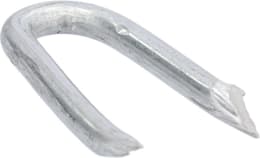 Produktbild: Krampen 3,1 x 31 mm, 5 kg, verzinkt