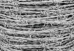 Produktbild: Stacheldraht 2,5 mm Eisen, verzinkt, 2-drähtig, 4-spitzig, Stachelabstand 100 mm