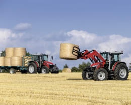 Lifestyle: Massey Ferguson Traktor MF 5M
