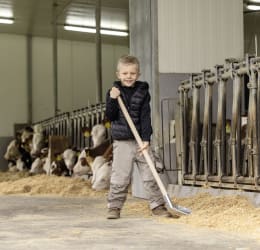 Lifestyle: KERBL Aluschaufel Mini Breite 26 cm, für Kinder ab 5 Jahren