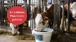 Produktbild: Bonimal FEED RM Lickan Kalb mit Eukalyptus, Menthol, Selen sowie Traubenkernextrakt Leckmasse