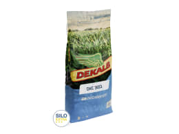Produktbild: Mais-Saatgut Dekalb DKC 3653 ZS (S 260, ca. K 260)