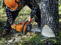 Lifestyle: Husqvarna® Benzin-Kettensäge 445S