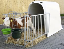 Lifestyle: KERBL Kälberiglu CalfHouse Premium Plus für 1 Kalb, mit schwerer Umzäunung