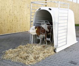 Lifestyle: KERBL Kälberiglu CalfHouse Premium Plus für 1 Kalb, mit schwerer Umzäunung